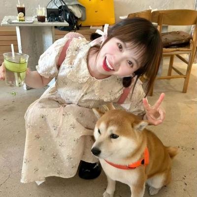 马路对面的房子